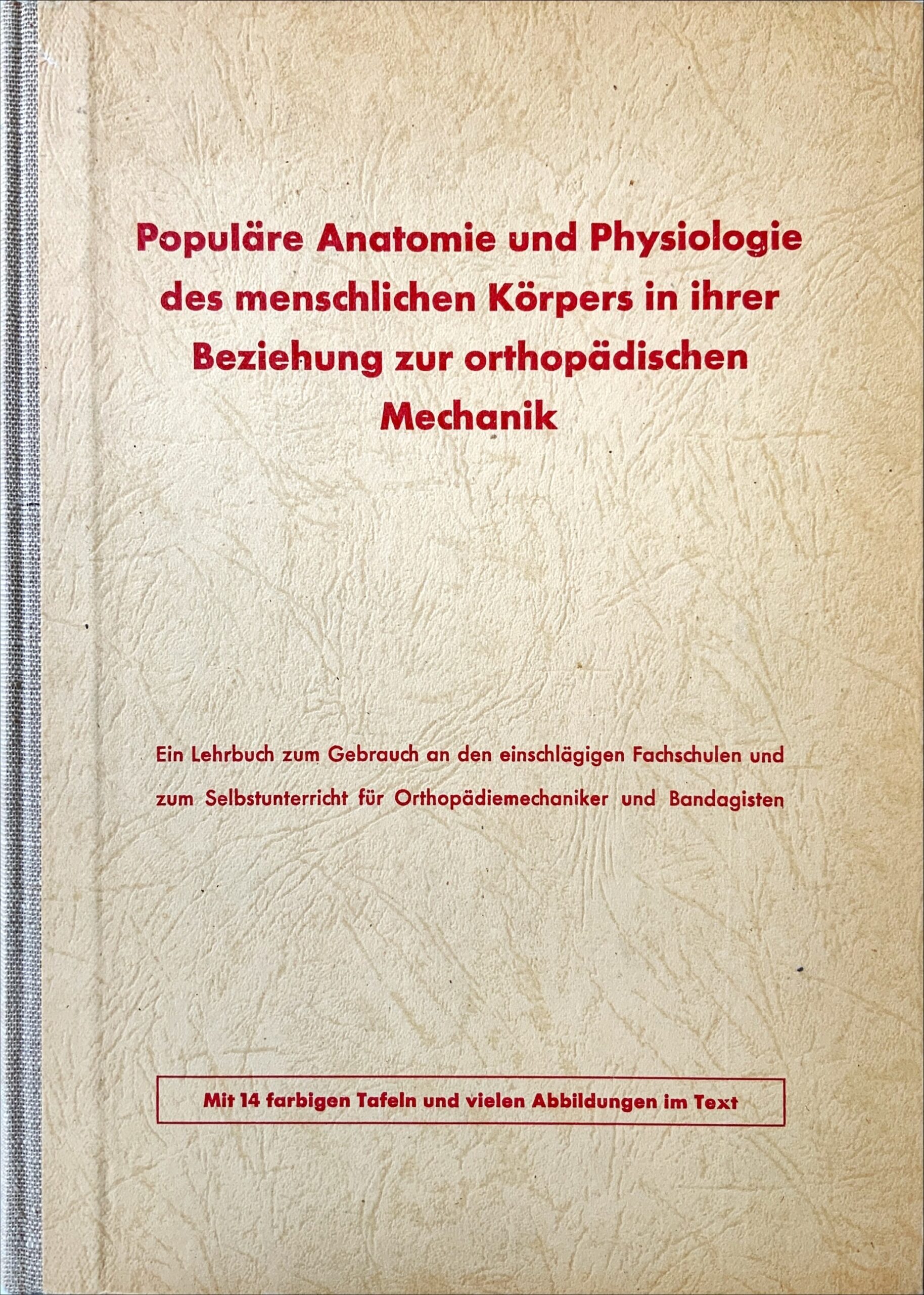 Fachbücher 43 1951 Fachbuecher PopulaereAnatomieUndPhysiologieDesMenschlichenKoerpersInIhrerBeziehungZurOrthopaedischenMechanik Mueller Cover scaled